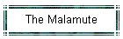 The Malamute