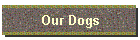 Our Dogs