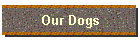 Our Dogs