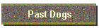 Past Dogs