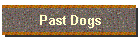 Past Dogs