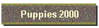 Puppies 2000