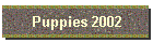 Puppies 2002