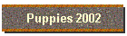 Puppies 2002