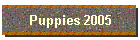 Puppies 2005