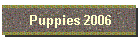 Puppies 2006