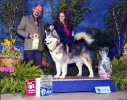 Sisu Best Graduate in Sweeps