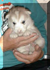 Storm 3 weeks