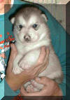 Wayne 3 weeks